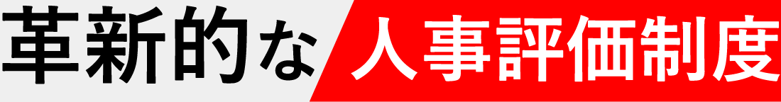 今までになかった革新的な人事評価制度